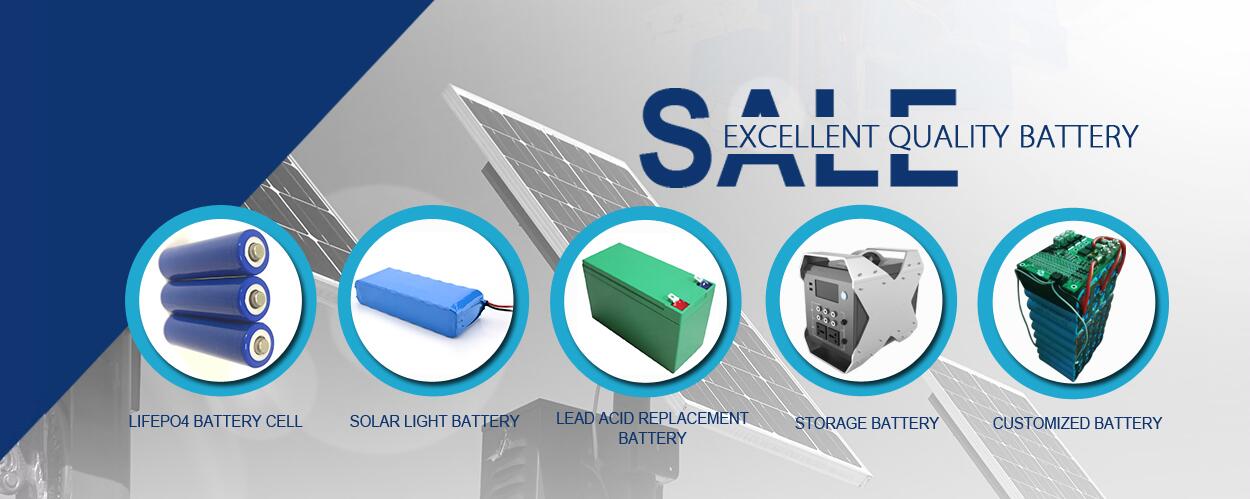 LiFePO4 battery Pack